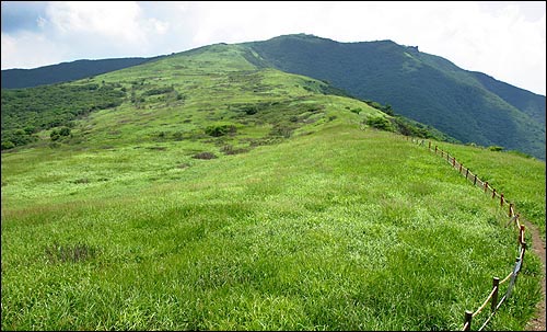 천성산 화엄벌. 